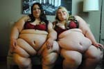 BBW 438