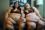 BBW 440