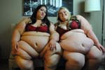 BBW 442