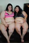 BBW 894